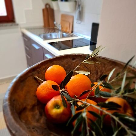 Studio Apartment Md Roč المظهر الخارجي الصورة