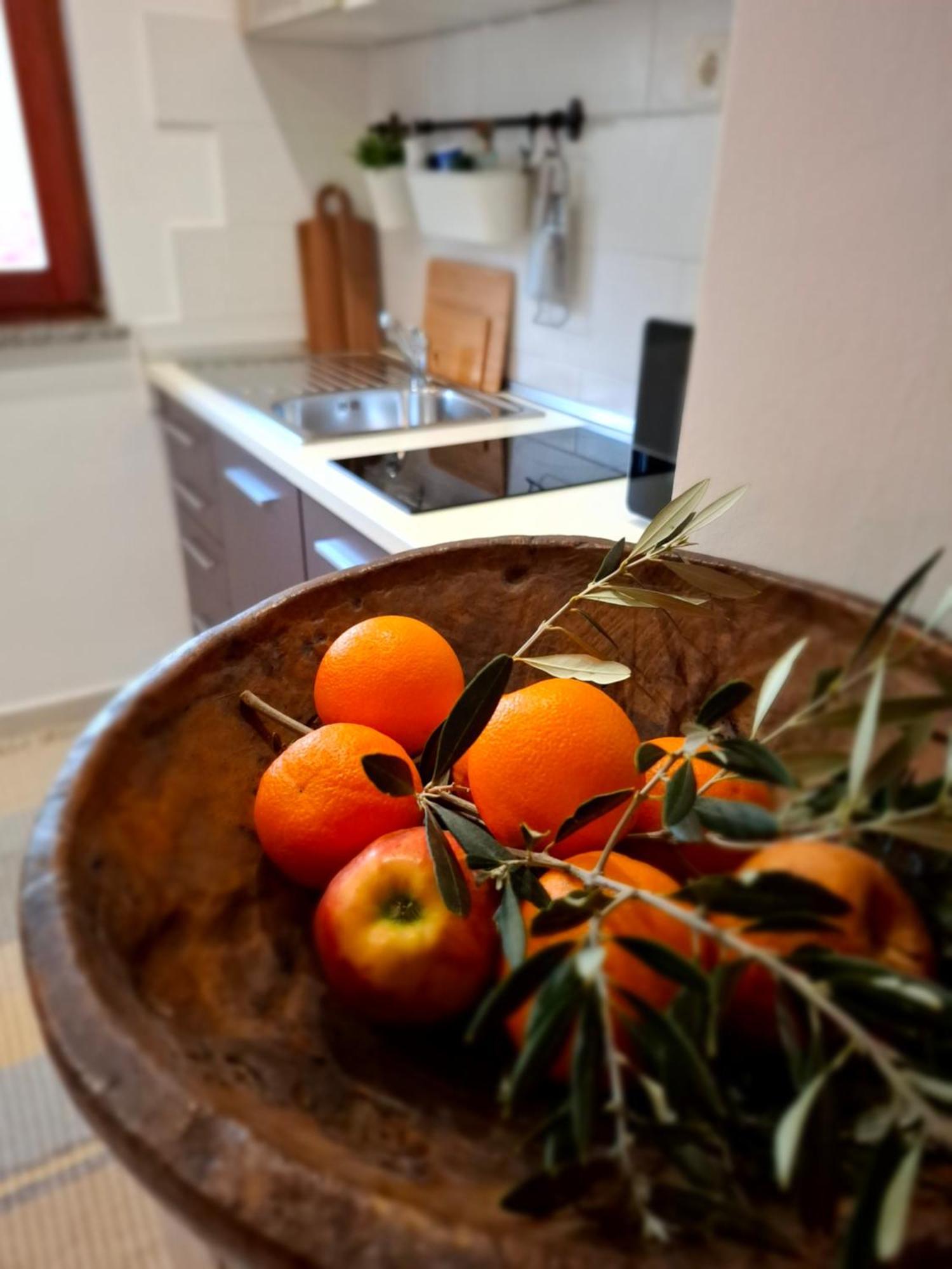 Studio Apartment Md Roč المظهر الخارجي الصورة