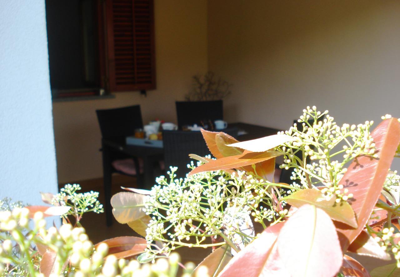 Studio Apartment Md Roč المظهر الخارجي الصورة